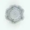 Top view of Powder Puff Cactus in ambient occlusion rendering.