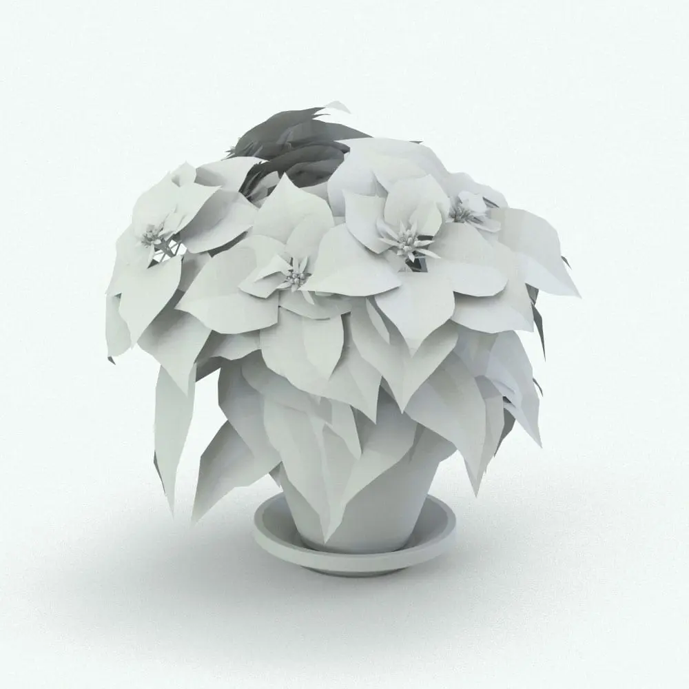 Revit Family / 3D Model - Poinsettia Perspective Revit Family / 3D Model - Poinsettia Perspective