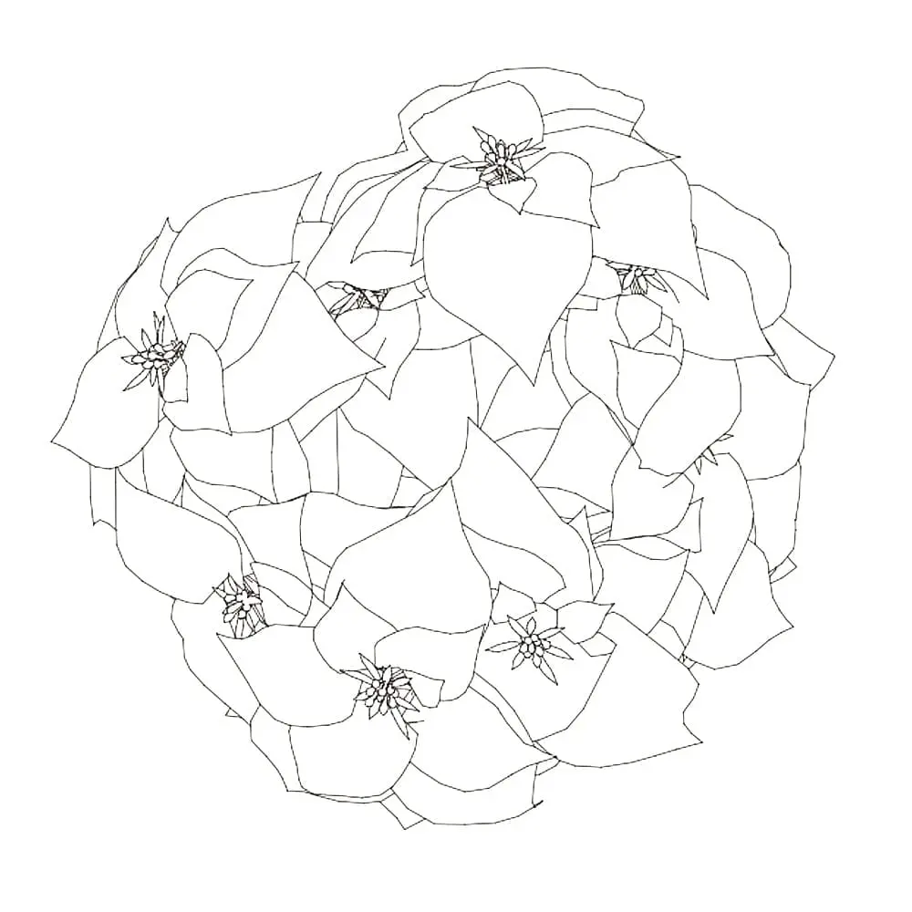 Revit Family / 3D Model - Poinsettia - Revit and AutoCAD Top View AutoCAD block in top view of the 3D plant model.