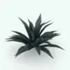 Agave Revit Plant Family rendered with Vray within Revit. Ideal for interior or exterior design projects, all our Revit plants are created with a hybrid technology that allows they to look realistic in any setting. Additionally, all our Revit plants include 3D Max, AutoCAD and Vray version so you can use them in different platforms.