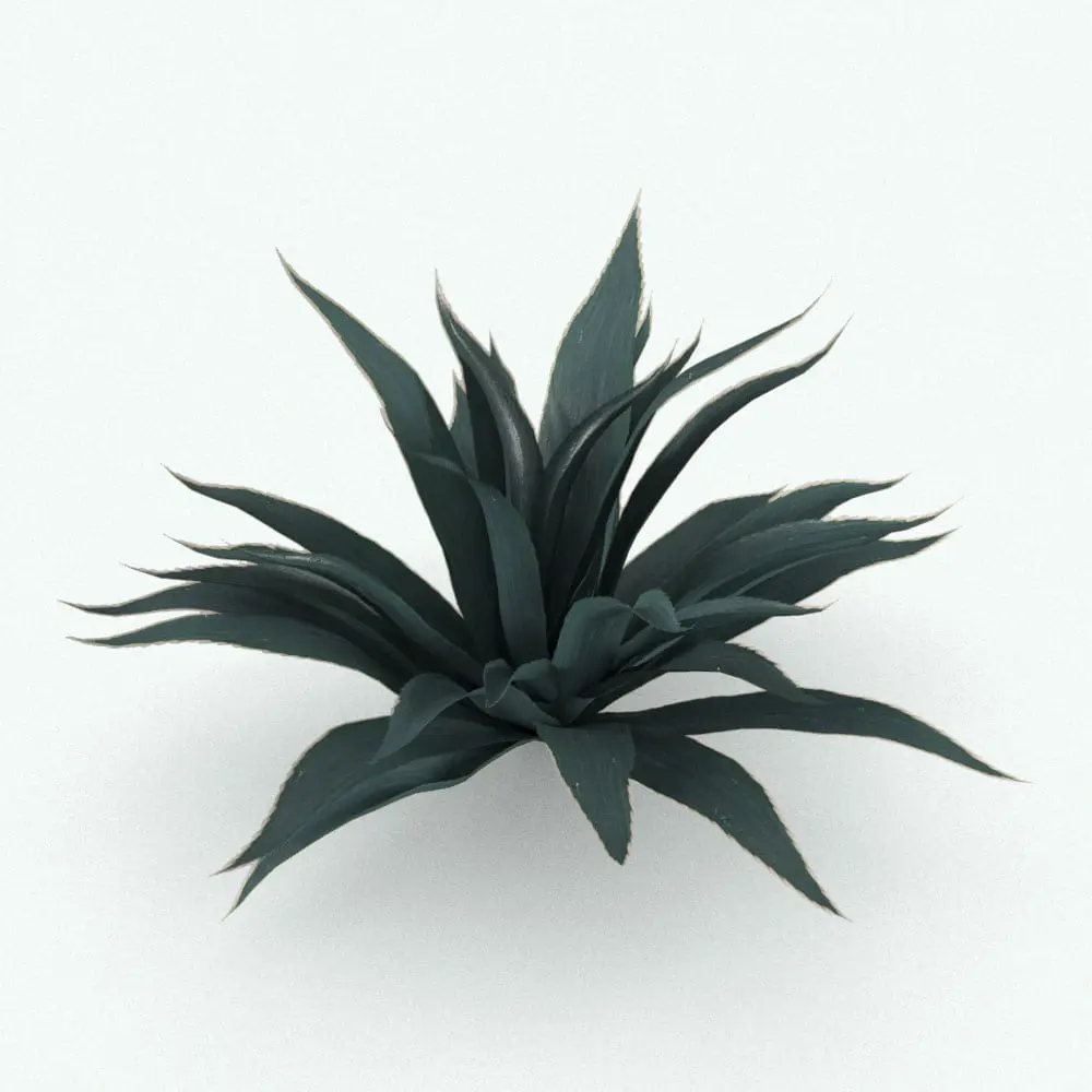 Revit Family / 3D Model - Agave Revit Plant Family Rendered in Revit with Vray Texture Set 2 Agave Revit Plant Family rendered with Vray within Revit. Ideal for interior or exterior design projects, all our Revit plants are created with a hybrid technology that allows they to look realistic in any setting. Additionally, all our Revit plants include 3D Max, AutoCAD and Vray version so you can use them in different platforms.