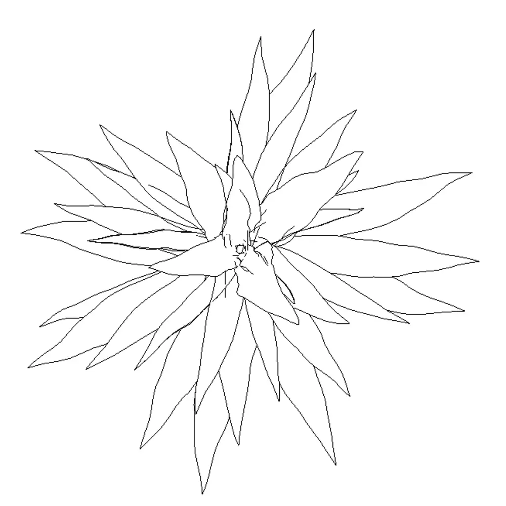 Revit Family / 3D Model - Agave Revit Plant AutoCAD Top View Agave plant AutoCAD block in top view.