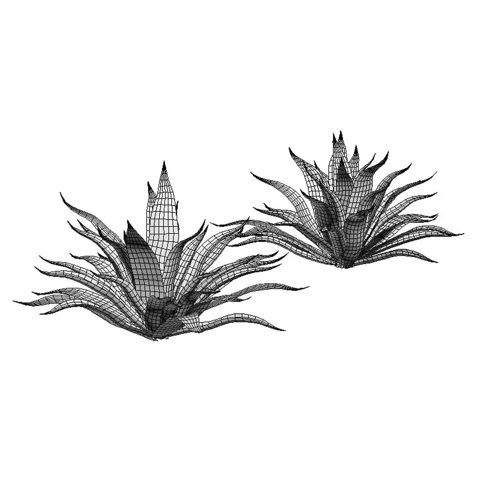 Revit Family / 3D Model - Agave 3D Max/FBX Wireframe Agave 3D model plant mesh.