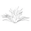 Agave plant as an AutoCAD block in front view.