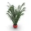 Areca Palm Revit Plant Family rendered with Vray within Revit. Ideal to make your renders look more livable and appealing, our Revit plants are a great way to dress up your Revit projects. This Revit family can be used as it is (pot+plant) or separately, in case you want to use the pot for another plant or use the plant on a different pot. Highly flexible and customizable, our Revit plants will certainly streamline your workflow and make your life easier.
