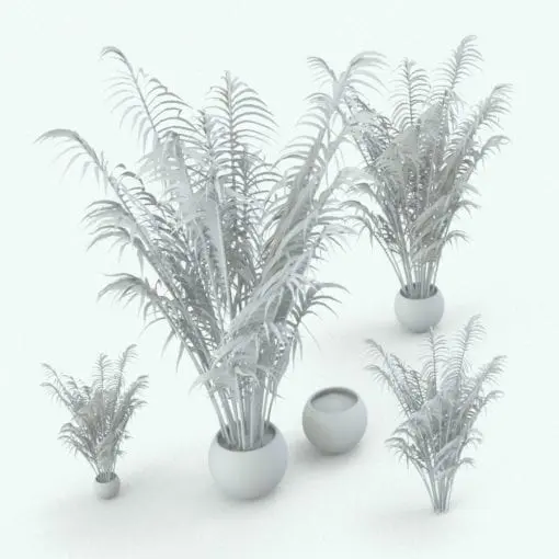 Areca Palm Revit Plant Family | Blackbee3D