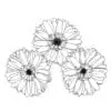 Barberton Daisy AutoCAD block in top view.