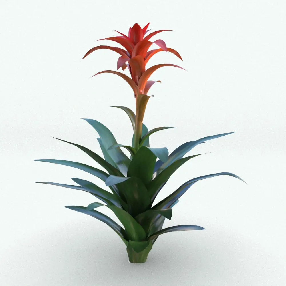 Revit Family / 3D Model - Bromeliad Revit Plant Family Rendered in Revit with Vray Bromeliad Revit Plant Family in 3D and rendered with Vray within Revit. This family is fully parametric, allowing you to change the size of the plant to suit your project requirements. Ideal for interior or exterior design projects, this Revit plant will certainly make your projects stand out. For photorealistic results, render this plant using Vray in Revit and using the provided textures.