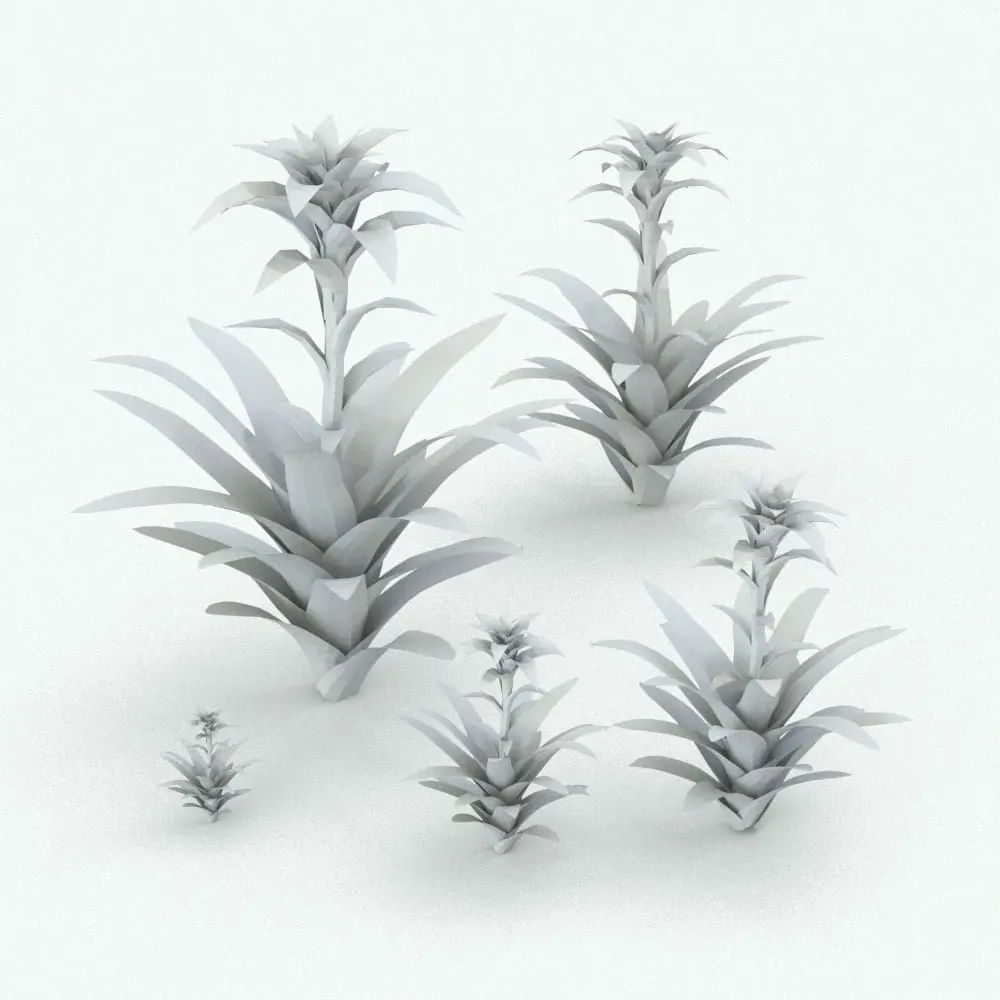 Revit Family / 3D Model - Bromeliad Revit Plant Family Variations Bromeliad Revit Plant Family shown in different sizes to showcase its parametric flexibility. Whether you need a small bromeliad or a larger one in your project, the size parameter will allow you to suit it to your project needs. Don't wait any longer and get this Bromeliad Revit Plant Family today since it's completely FREE!. Yes, you heard it right, this plant belongs to our FREE Revit families category, so go ahead and download it now.