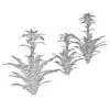 Revit Family / 3D Model - Bromeliad 3D Max/FBX Wireframe