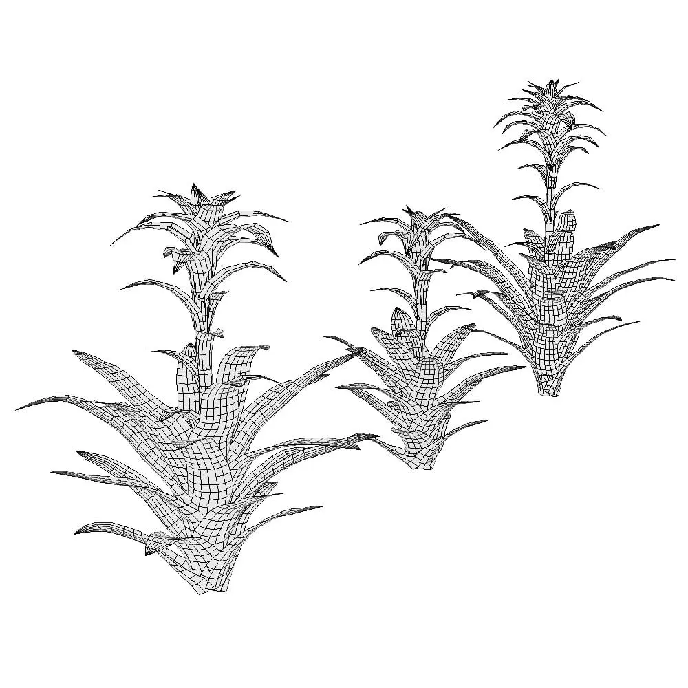 Revit Family / 3D Model - Bromeliad 3D Max/FBX Wireframe Revit Family / 3D Model - Bromeliad 3D Max/FBX Wireframe