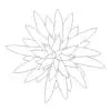 Revit Family / 3D Model - Bromeliad - Revit and AutoCAD Top View