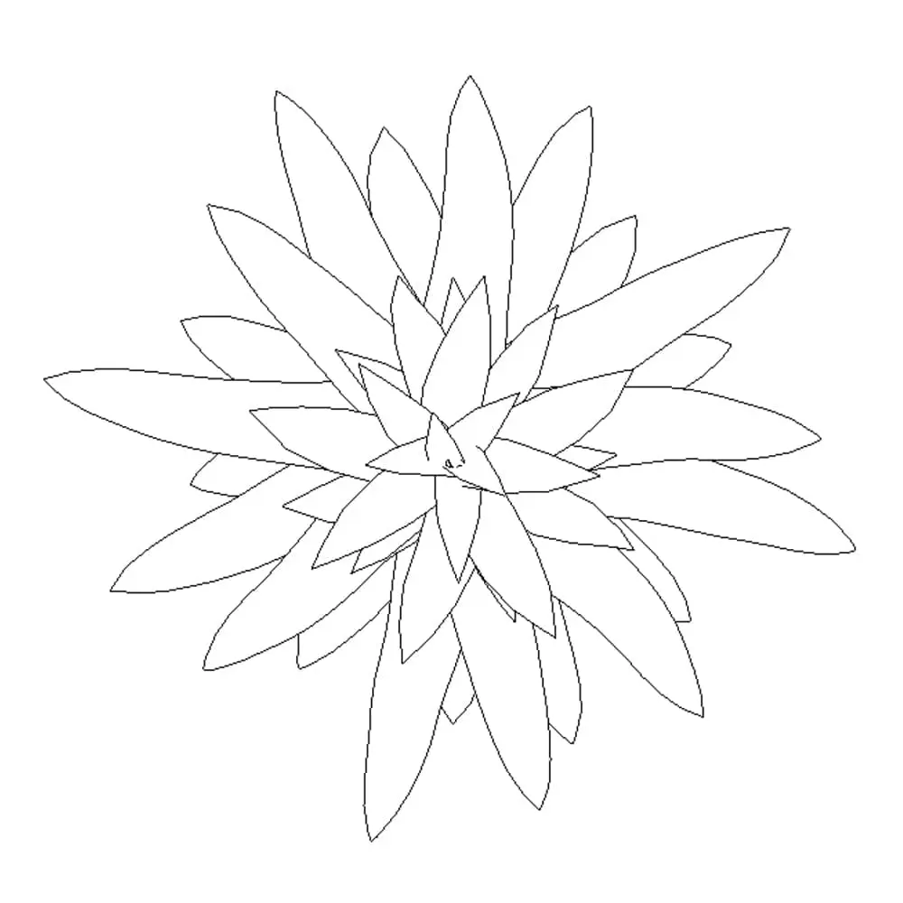 Revit Family / 3D Model - Bromeliad - Revit and AutoCAD Top View Revit Family / 3D Model - Bromeliad - Revit and AutoCAD Top View