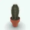 Cactus Revit Plant Family rendered in Vray within Revit. Ideal for interior or exterior design projects, all our Revit plants are created with a hybrid technology that allows they to look realistic in any setting. Additionally, all our Revit plants include 3D Max, AutoCAD and Vray version so you can use them in different platforms.