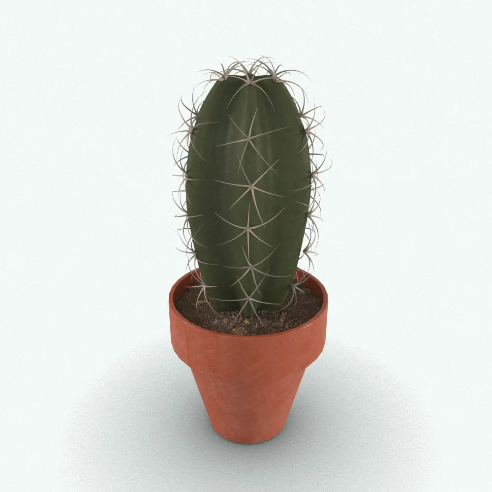 Revit Family / 3D Model - Cactus Revit Plant Family Rendered in Revit with Vray Cactus Revit Plant Family rendered in Vray within Revit. Ideal for interior or exterior design projects, all our Revit plants are created with a hybrid technology that allows they to look realistic in any setting. Additionally, all our Revit plants include 3D Max, AutoCAD and Vray version so you can use them in different platforms.