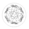 Revit Family / 3D Model - Cactus - Revit and AutoCAD Top View