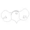 Revit Family / 3D Model - Calla Lilies - Revit and AutoCAD Top View