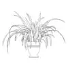 Revit Family / 3D Model - Spider Plant - Revit and AutoCAD Front View