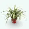 Spider Revit Plant Family rendered in 3D with realistic textures rendered in Vray within Revit. Ideal for interior or exterior design projects, all our Revit plants are created with a hybrid technology that allows they to look realistic in any setting. Additionally, all our Revit plants include 3D Max, AutoCAD and Vray version so you can use them in different platforms.