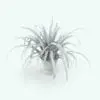 Spider Revit Plant Family in 3D and rendered in black and white (ambient occlusion style) to showcase the details better. Ideal for either interior or exterior design projects, this Revit plant will make your spaces and 3D renderings stand out!