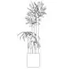 Revit Family / 3D Model - Corn Stalk Dracaena - Revit and AutoCAD Front View