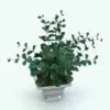 Eucalyptus Revit Planting Family rendered in 3d inside of Revit using NO plugins (Vray). Whether you need a small accent for your render or a center piece, this Revit plant will certainly be the solution. With parameter to change the size, the materials and the visibilities, this Revit planting family will take your renders to the next level.