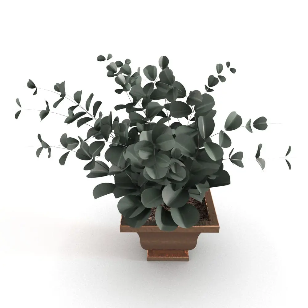 Revit Family / 3D Model - Eucalyptus Revit Planting Family Rendered in Revit with Vray Eucalyptus Revit Planting Family rendered in Vray within Revit. Ideal for interior design projects, this and all our Revit plants are created with a hybrid technology that allows they to look realistic in any setting. Additionally, all our Revit plants include 3D Max, AutoCAD and Vray version so you can use them in different platforms.