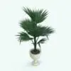 Fan Palm Revit Plant Family rendered in 3D in Revit. Ideal for interior or exterior design projects, all our Revit plants are created with a hybrid technology that allows they to look realistic in any setting. Additionally, all our Revit plants include 3D Max, AutoCAD and Vray version so you can use them in different platforms.
