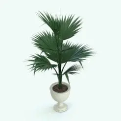 Fan Palm Revit Plant Family rendered in 3D in Revit. Ideal for interior or exterior design projects, all our Revit plants are created with a hybrid technology that allows they to look realistic in any setting. Additionally, all our Revit plants include 3D Max, AutoCAD and Vray version so you can use them in different platforms.