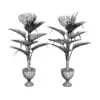 Revit Family / 3D Model - Fan Palm 3D Max/FBX Wireframe