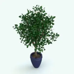 Revit Plant Family - Ficus Tree. Tired of not finding ideal plants for your projects? Don't worry, we have the best selection of parametric Revit plants online to make your spaces, whether interior or exterior, feel cozier and refined. Just load them into your Revit project, select a size, load the materials and hit the render button to make your 3D renderings come to life! Browse or extensive selection of Revit plants, trees and flowers and see for yourself.