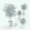Ficus Revit Tree Family shown in different sizes and configurations. You can also see here how the pot or the tree can be turned on/off to use them either together or separately. Ideal for living rooms, hotels, lobbies, outdoor patios and more, this elegant and sophisticated Revit tree family will make your renders stand out in just a few clicks. Get it today and see for yourself.