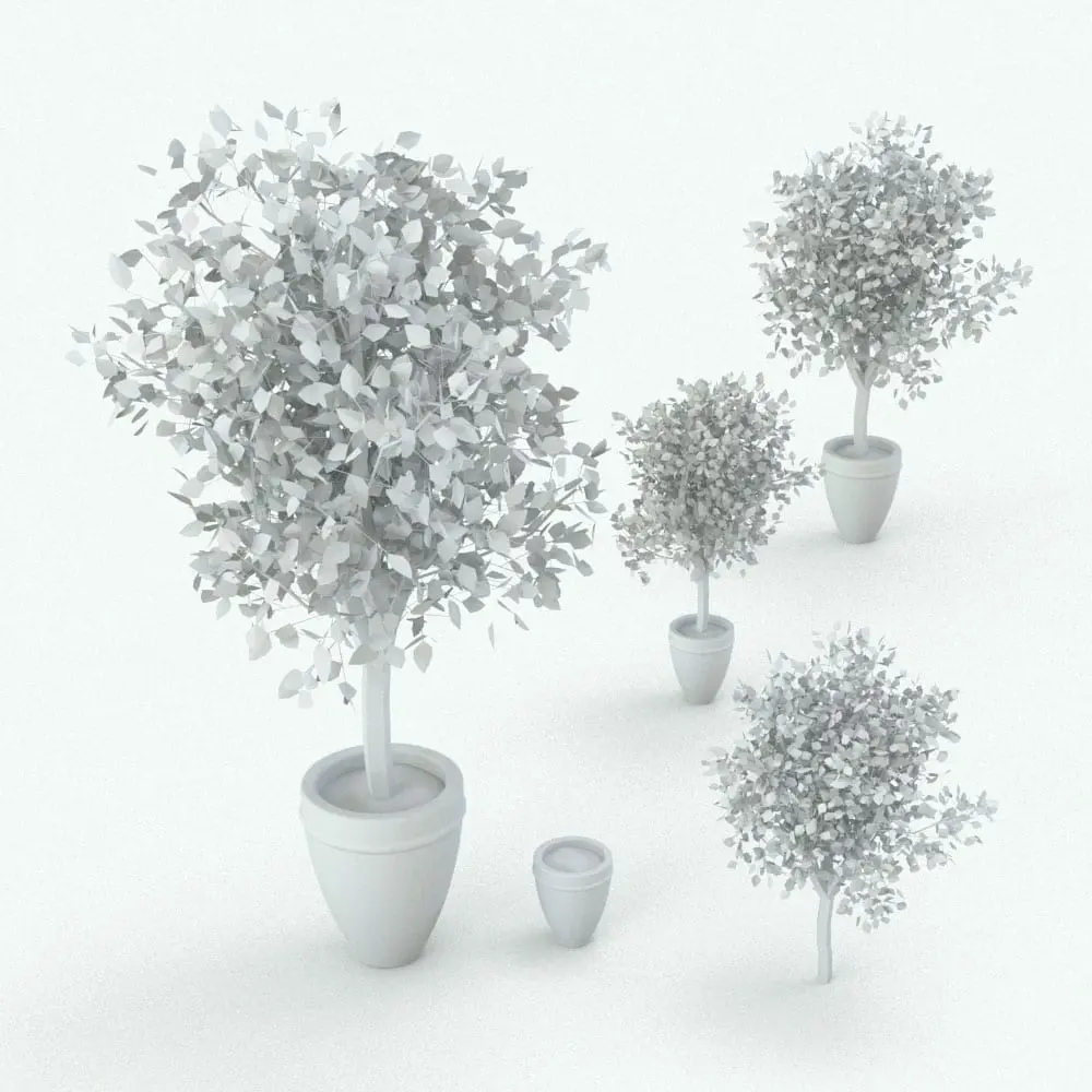 Revit Family / 3D Model - Ficus Revit Tree Family Variations Ficus Revit Tree Family shown in different sizes and configurations. You can also see here how the pot or the tree can be turned on/off to use them either together or separately. Ideal for living rooms, hotels, lobbies, outdoor patios and more, this elegant and sophisticated Revit tree family will make your renders stand out in just a few clicks. Get it today and see for yourself.