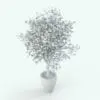 Ficus Revit Tree Family in 3D and rendered without any materials (ambient occlusion style) to showcase the details and shapes better. This family is fully parametric, easy to use and ready to render. Whether you need a complement piece or a focal point, this Revit tree family will certainly elevate your renders to new heights.