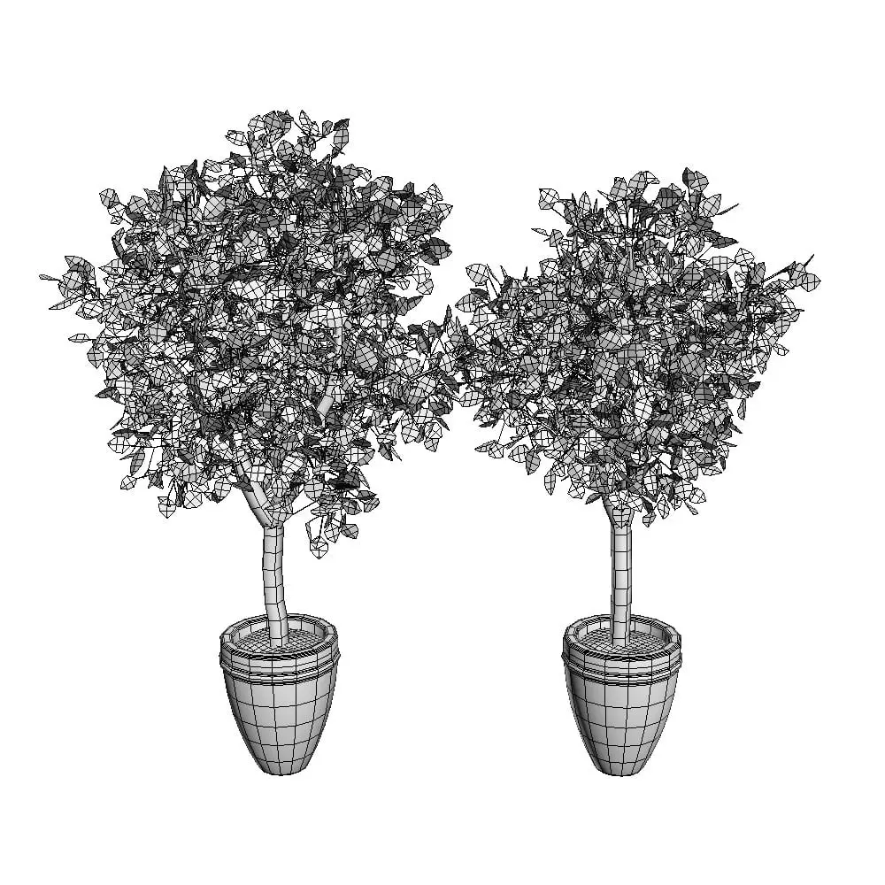 Revit Family / 3D Model - Ficus 3D Max/FBX Wireframe Revit Family / 3D Model - Ficus 3D Max/FBX Wireframe