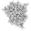 Revit Family / 3D Model - Ficus - Revit and AutoCAD Top View