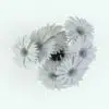 Gerberas Revit Flowers Family in top view and rendered in black and white (ambient occlusion style) to showcase the details and shapes better. This family is fully parametric, easy to use and ready to render. Just load it into your Revit project, select the size and hit the render button for instant results. Don't wait any longer and add this Gerberas Revit Flowers Family to your assets today.