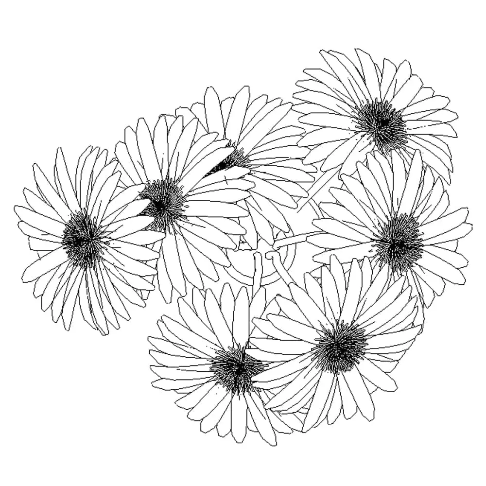 Revit Family / 3D Model - Gerberas - Revit and AutoCAD Top View Revit Family / 3D Model - Gerberas - Revit and AutoCAD Top View