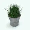 Grass in a Pot Revit Plant Family rendered in Revit. Ideal for interior or exterior design projects,, this and all our Revit plants are created with a hybrid technology that allows they to look realistic in any setting. Additionally, all our Revit plants include 3D Max, AutoCAD and Vray version so you can use them in different platforms.