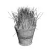 Revit Family / 3D Model - Grass in a Pot 3D Max/FBX Wireframe