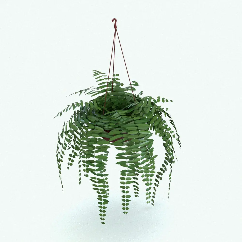 Revit Family / 3D Model - Hanging Fern Revit Plant Family Rendered in Revit 1 Hanging Fern Revit Plant Family in 3D and rendered in Revit. This Revit family is fully parametric, easy to use and render-ready. Just load it into your project, select the size you want and hit the render button for instant results. Don't wait any longer and get this Hanging Fern Revit Plant Family today!