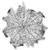 Revit Family / 3D Model - Hanging Fern - Revit and AutoCAD Top View