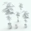 Hawaiian Schefflera Revit Plant Family in different sizes and variations to showcase its parametric flexibility. In this image, you can see how the Revit plant, besides changing size , it can be use together or separately from the planter. This makes our Revit plants quite versatile since you can mix and match plants/pots from different families.