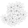 Revit Family / 3D Model - Hawaiian Schefflera - Revit and AutoCAD Top View