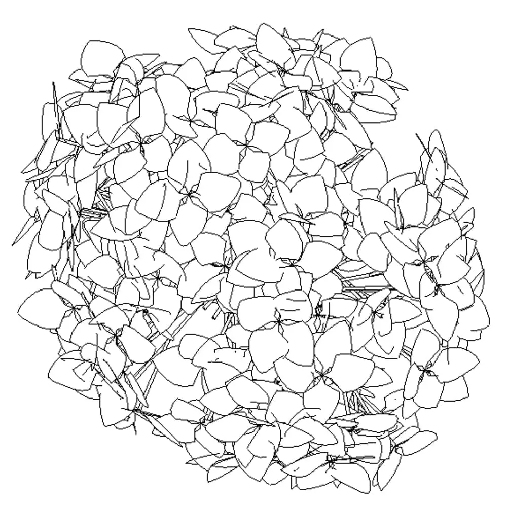 Revit Family / 3D Model - Hydrangeas - Revit and AutoCAD Top View Revit Family / 3D Model - Hydrangeas - Revit and AutoCAD Top View