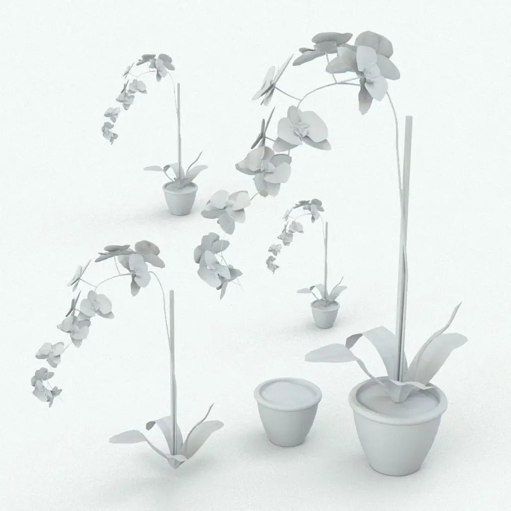 Revit Family / 3D Model - Orchids Revit Plant Family Variations Orchids Revit Plant Family in different sizes and configurations to showcase its parametric flexibility. As seen on this image, the pot and the plant can be turned on/off independently, in case you want to mix and match them with other plants/pots from other families in our catalog. Don't let this opportunity pass and add this Orchids Revit Plant Family to your cart now!