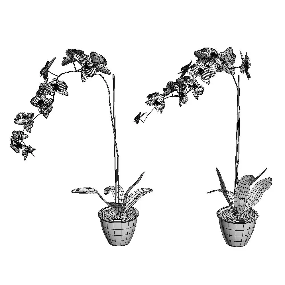 Revit Family / 3D Model - Orchid 3D Max/FBX Wireframe Revit Family / 3D Model - Orchid 3D Max/FBX Wireframe