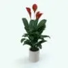 Peace Lily Plant Revit Family in 3D and rendered inside of Revit. Ideal for interior or exterior design projects, this and all our Revit plants are created with a hybrid technology that allows they to look realistic in any setting. Additionally, all our Revit plants include 3D Max, AutoCAD and Vray version so you can use them in different platforms.