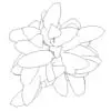 Revit Family / 3D Model - Peace Lily - Revit and AutoCAD Top View