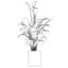 Revit Family / 3D Model - Peace Lily - Revit and AutoCAD Front View